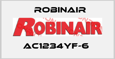AC1234yf-6  Robinair