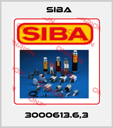 3000613.6,3 Siba