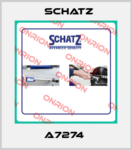 A7274  Schatz