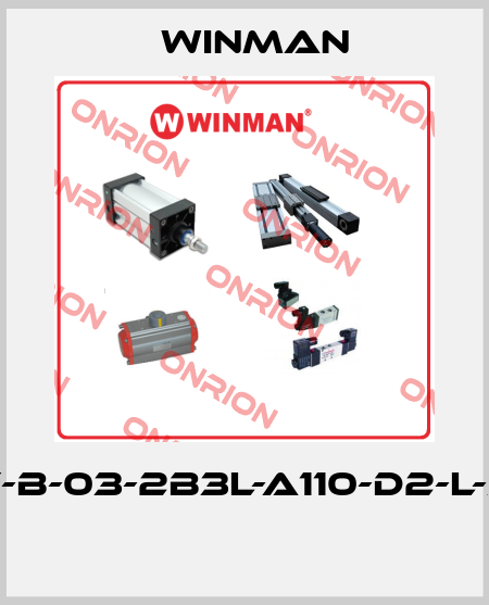 DF-B-03-2B3L-A110-D2-L-35  Winman