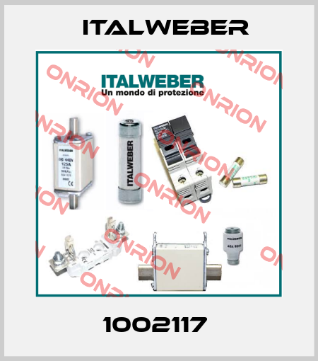 1002117  Italweber