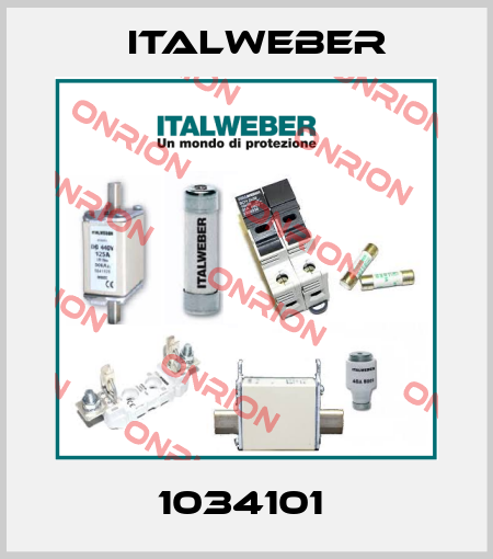 1034101  Italweber