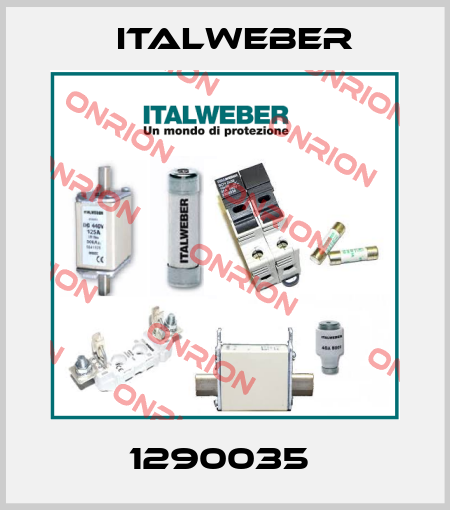 1290035  Italweber