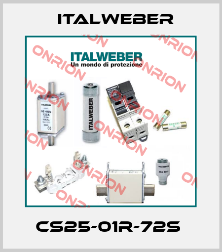 CS25-01R-72S  Italweber