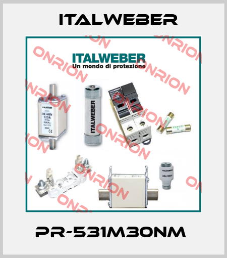 PR-531M30NM  Italweber
