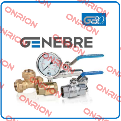 Repair kit for butterfly-valve DN300 PN10   Genebre