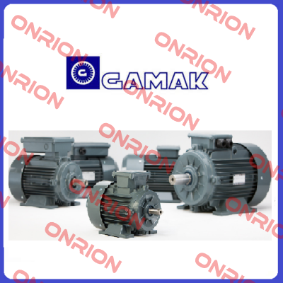 AGM2E-132S/2a-(B35-S)  Gamak