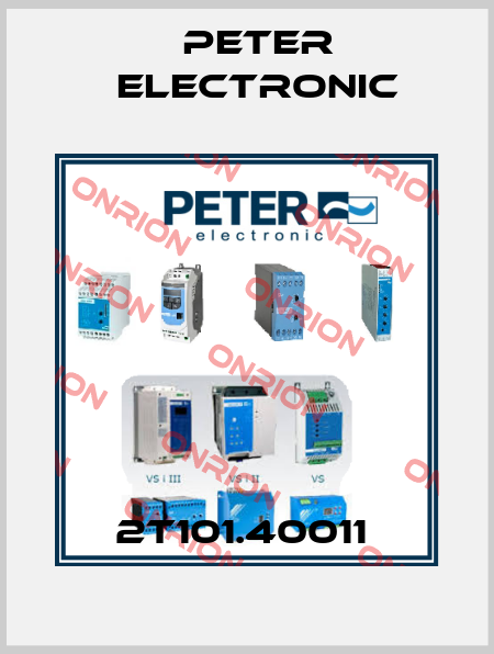 2T101.40011  Peter Electronic