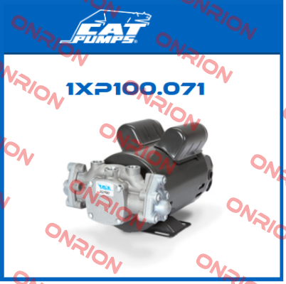 1XP100.071 Cat Pumps