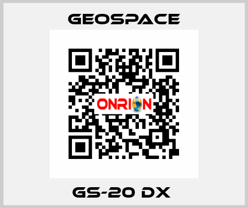 GS-20 DX  GeoSpace