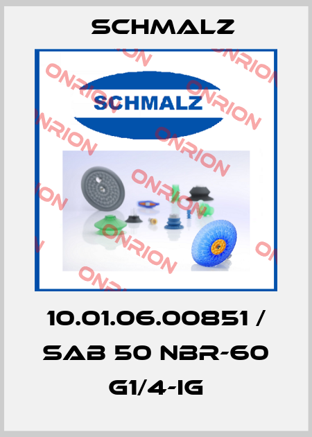 10.01.06.00851 / SAB 50 NBR-60 G1/4-IG Schmalz