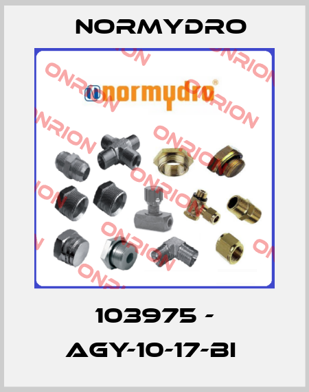 103975 - AGY-10-17-BI  Normydro