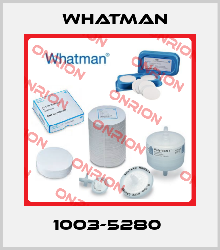 1003-5280  Whatman