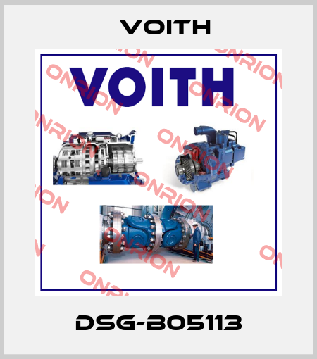 DSG-B05113 Voith