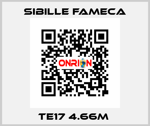 TE17 4.66M  Sibille Fameca