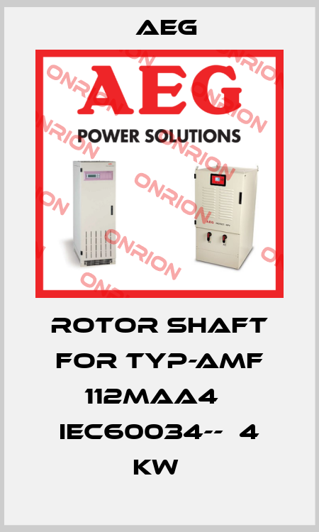 Rotor shaft for TYP-AMF 112MAA4   IEC60034--  4 kw  AEG