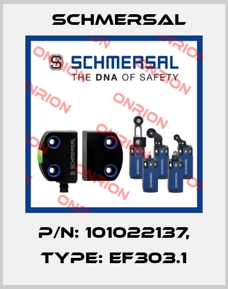 Schmersal-101022137 / EF303.1 price