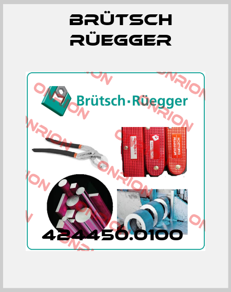 424450.0100  Brütsch Rüegger