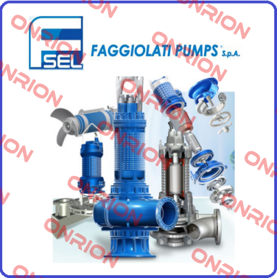 54.25202 Faggiolati
