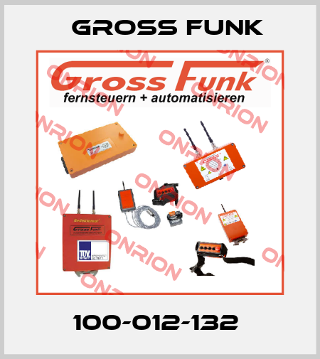 100-012-132  Gross Funk
