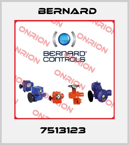 7513123  Bernard