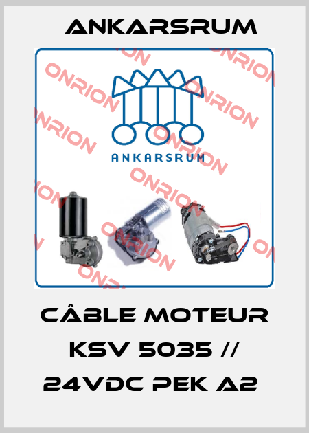 Câble moteur KSV 5035 // 24VDC PEK A2  Ankarsrum
