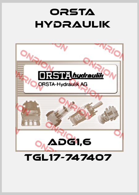ADG1,6 TGL17-747407  Orsta Hydraulik