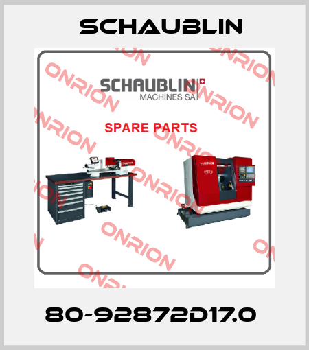 80-92872D17.0  Schaublin