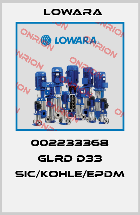 002233368 GLRD D33 SiC/Kohle/EPDM  Lowara