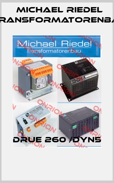 DRUE 260 /DYN5  Michael Riedel Transformatorenbau