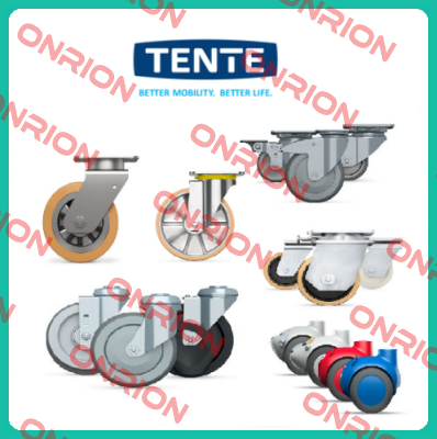 9958FTP150P65 (Teilenummer: 00806805-GS) Tente