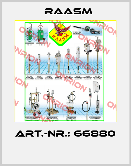 ART.-NR.: 66880  Raasm