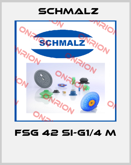 FSG 42 SI-G1/4 M  Schmalz