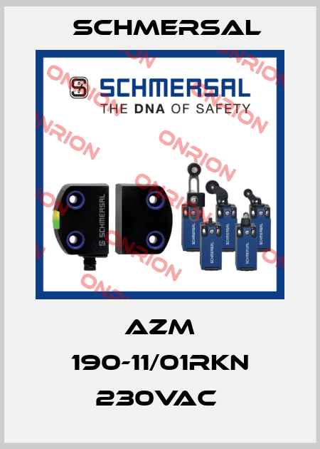 AZM 190-11/01RKN 230VAC  Schmersal
