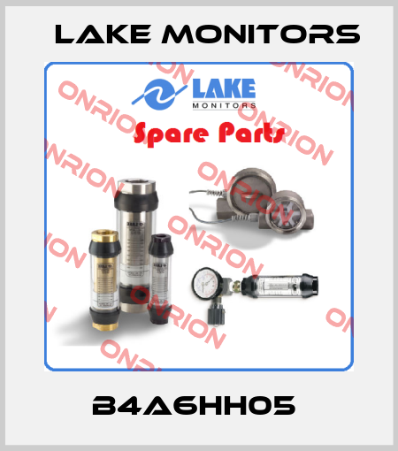 B4A6HH05  Lake Monitors