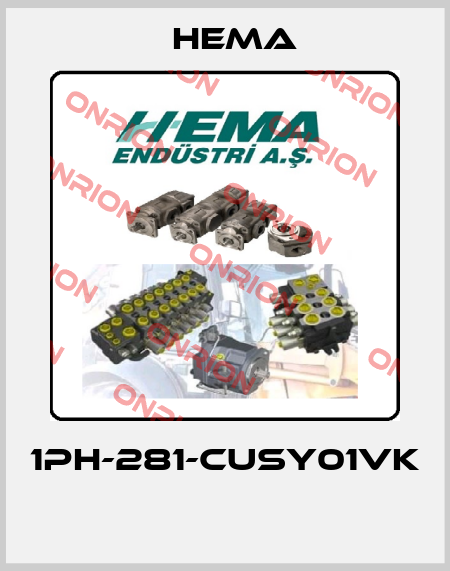 1PH-281-CUSY01VK  Hema