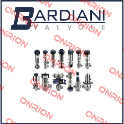 B925 TT VITON SMS63 Bardiani Valvole