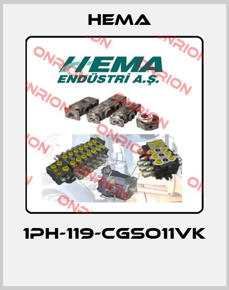 1PH-119-CGSO11VK  Hema