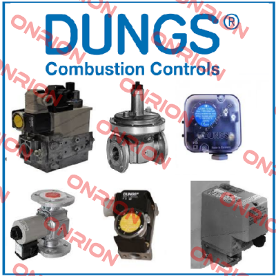 BCS 301 GAS CONTROL UNIT  Dungs