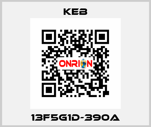 13F5G1D-390A KEB