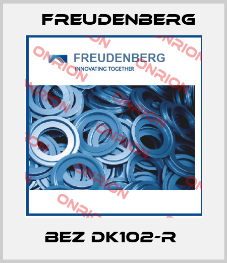 BEZ DK102-R  Freudenberg
