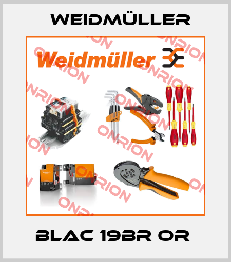 BLAC 19BR OR  Weidmüller