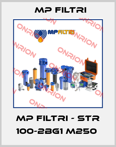 MP Filtri - STR 100-2BG1 M250  MP Filtri