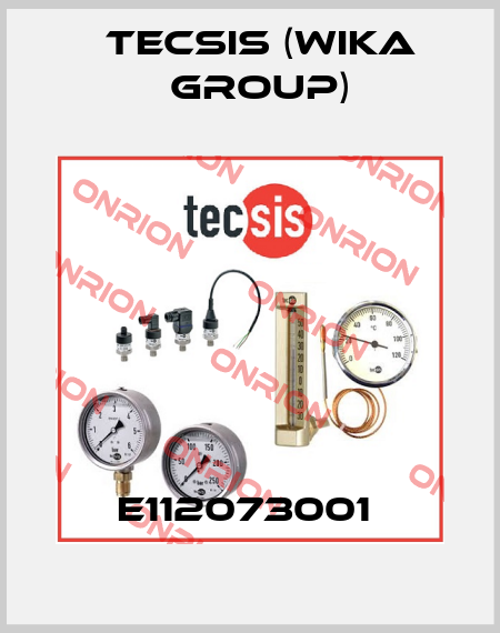E112073001  Tecsis (WIKA Group)