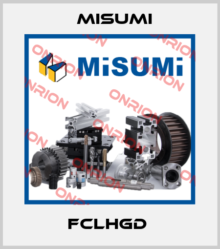 FCLHGD  Misumi