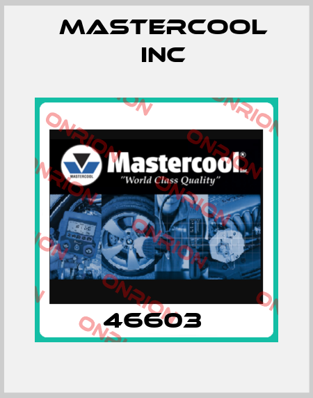 46603  Mastercool Inc