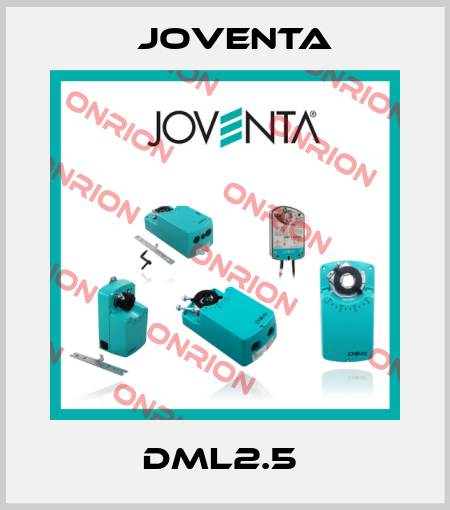 DML2.5  Joventa