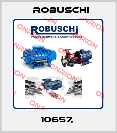 10657,  Robuschi