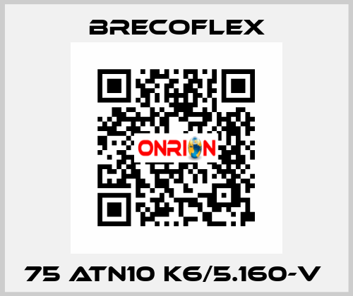 75 ATN10 K6/5.160-V  Brecoflex