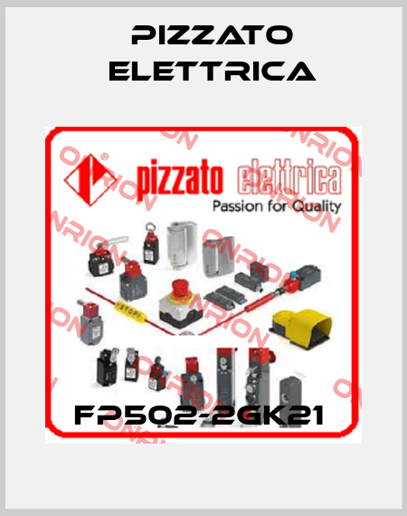 FP502-2GK21  Pizzato Elettrica